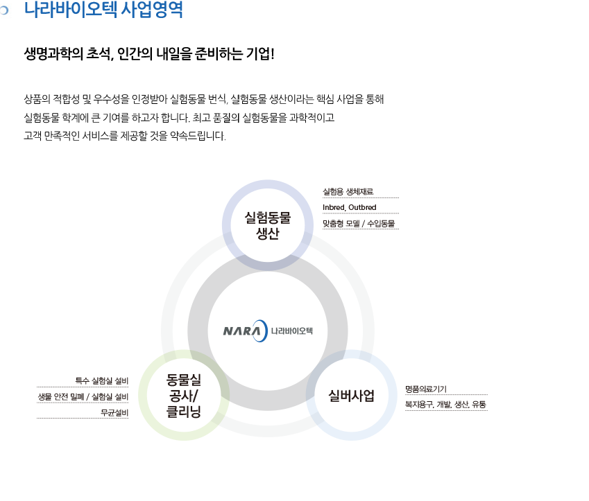 사업영역